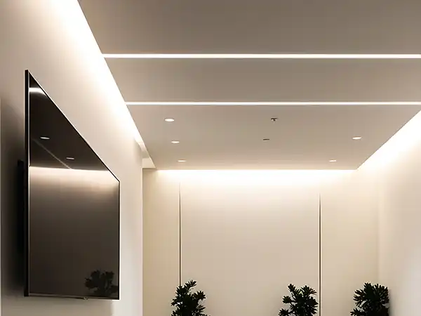 Common Area Lighting Services