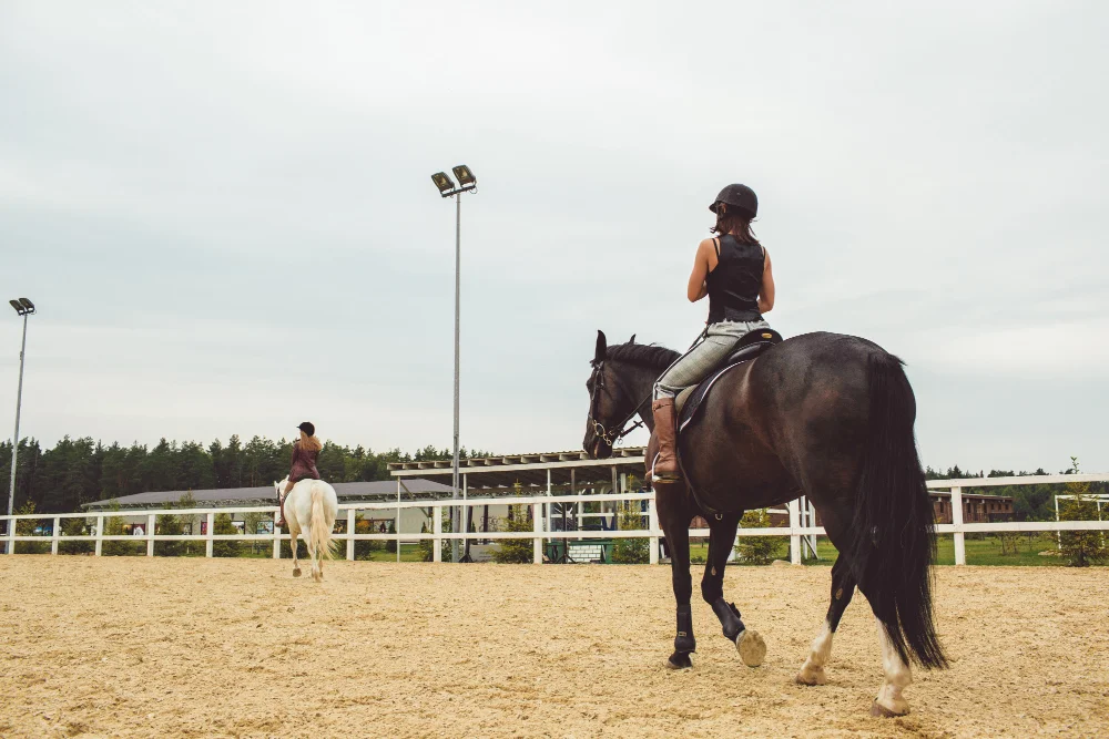 Horse Riding Field Lighting