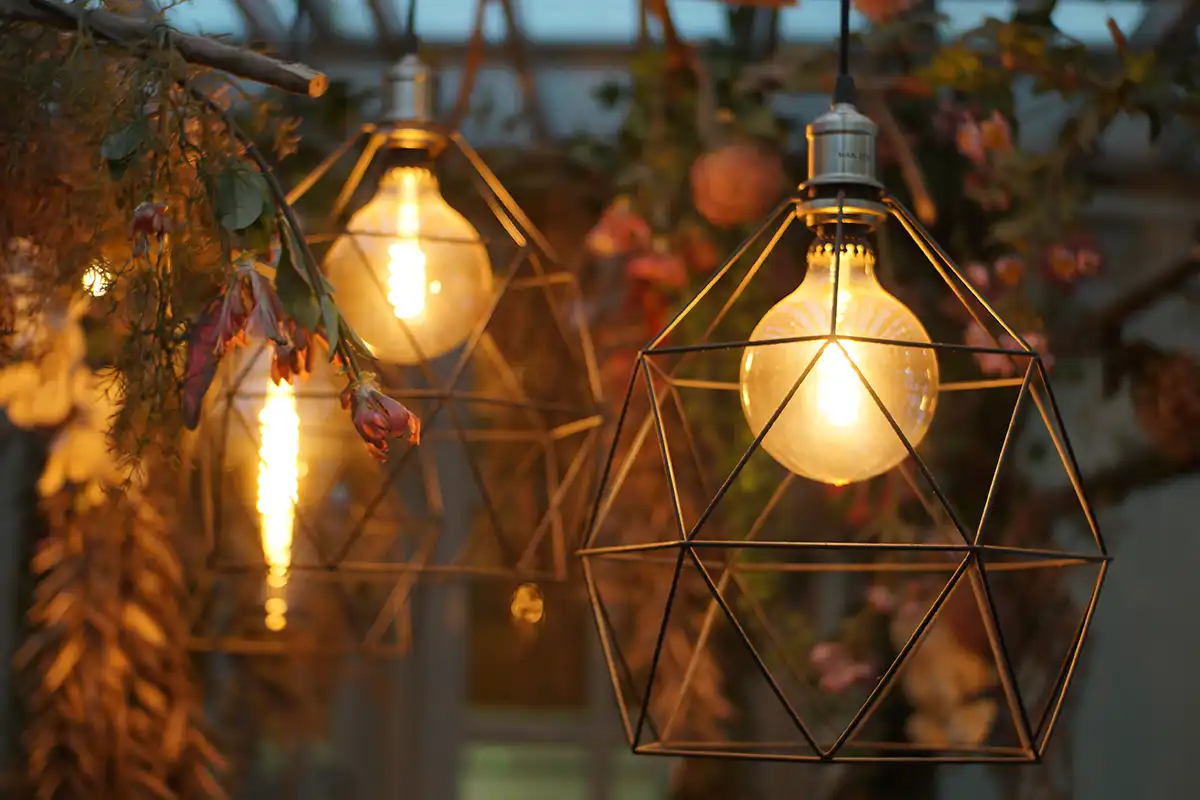 Outdoor Garden Lighting Systems
