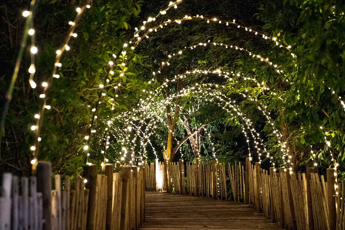Treehouse Lighting Design & Installation