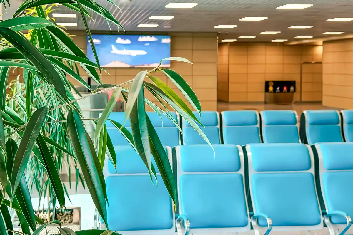 Waiting Area Lighting Design & Consultancy